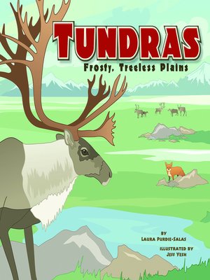 cover image of Tundras